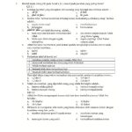 Ternyata Soal Akidah Akhlak Kelas 6 Semester 1 2026 Begini Polanya, Selama Ini Salah!